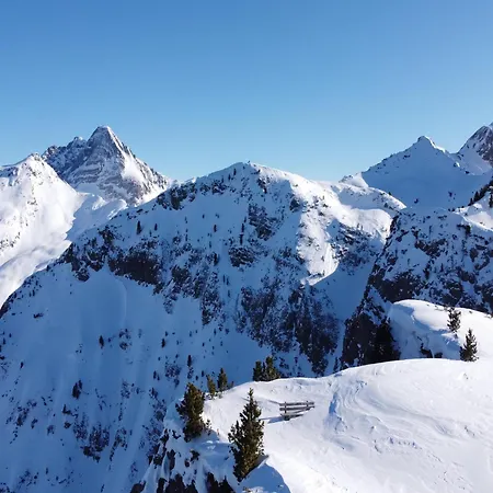 Appartement Near Area